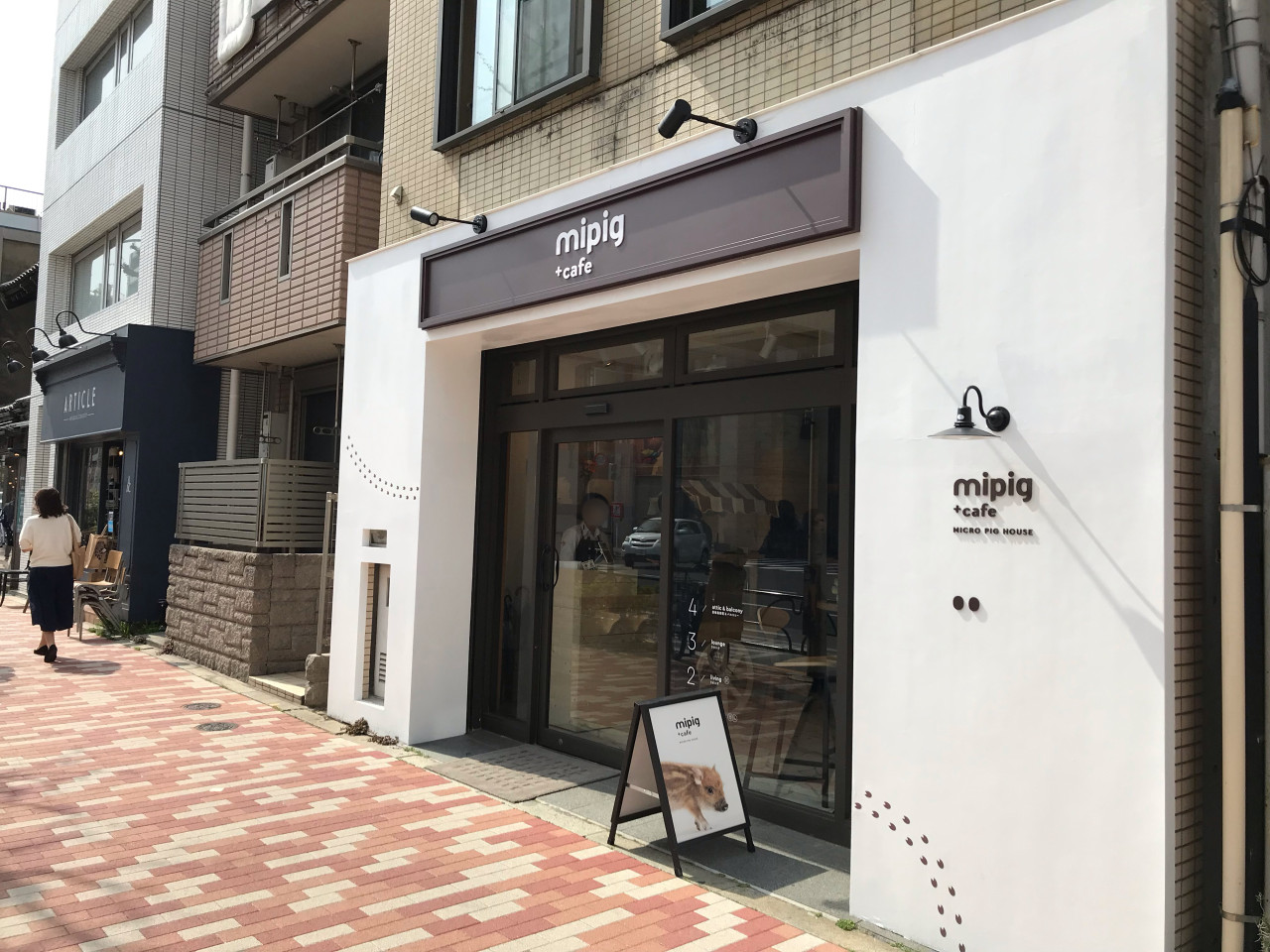 Japan’s firstever micro pig cafe opens in Tokyo 【Pics & Video