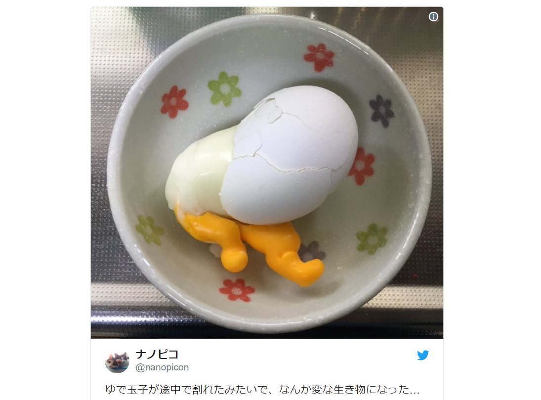 Sanrio Terror Horrifying Real World Gudetama Appears In Japanese Kitchen Soranews24 Japan News