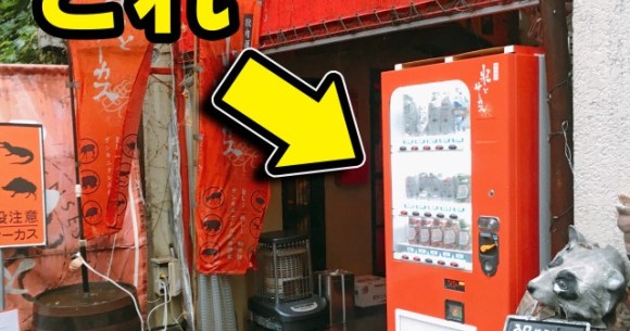We try insect snacks from this vending machine in Tokyo, and get a bonus surprise in the capsule