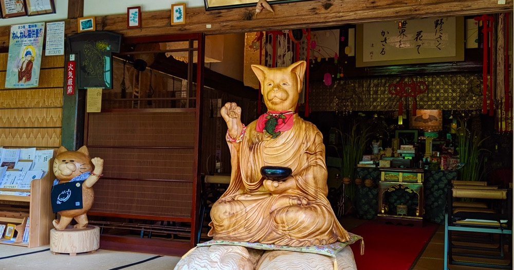 A visit to Japan’s cat beautiful, quirky, and touching cat temple ...