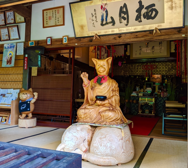 A visit to Japan’s cat beautiful, quirky, and touching cat temple, Unrinji【Photos】