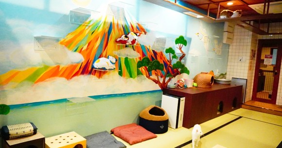 Cool cat cafe designed like a Japanese public bath lets you chill out ...