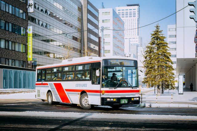 Kind Japanese bus driver fulfills child’s dream to push the button