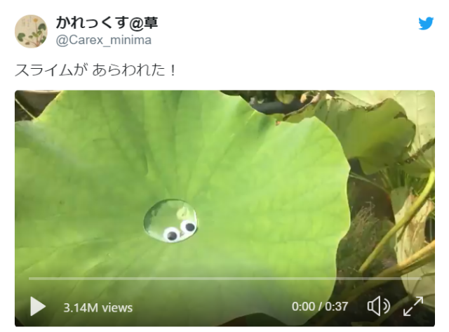 A slime appears…in real-life Japan! Command? Watch this adorable video【Video】
