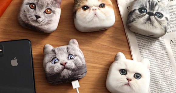 Charge up your phone with the power of a portable cat battery from ...