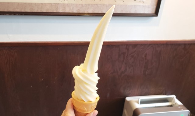 We order a ridiculously long, thin serving of soft serve ice cream, get a big surprise instead