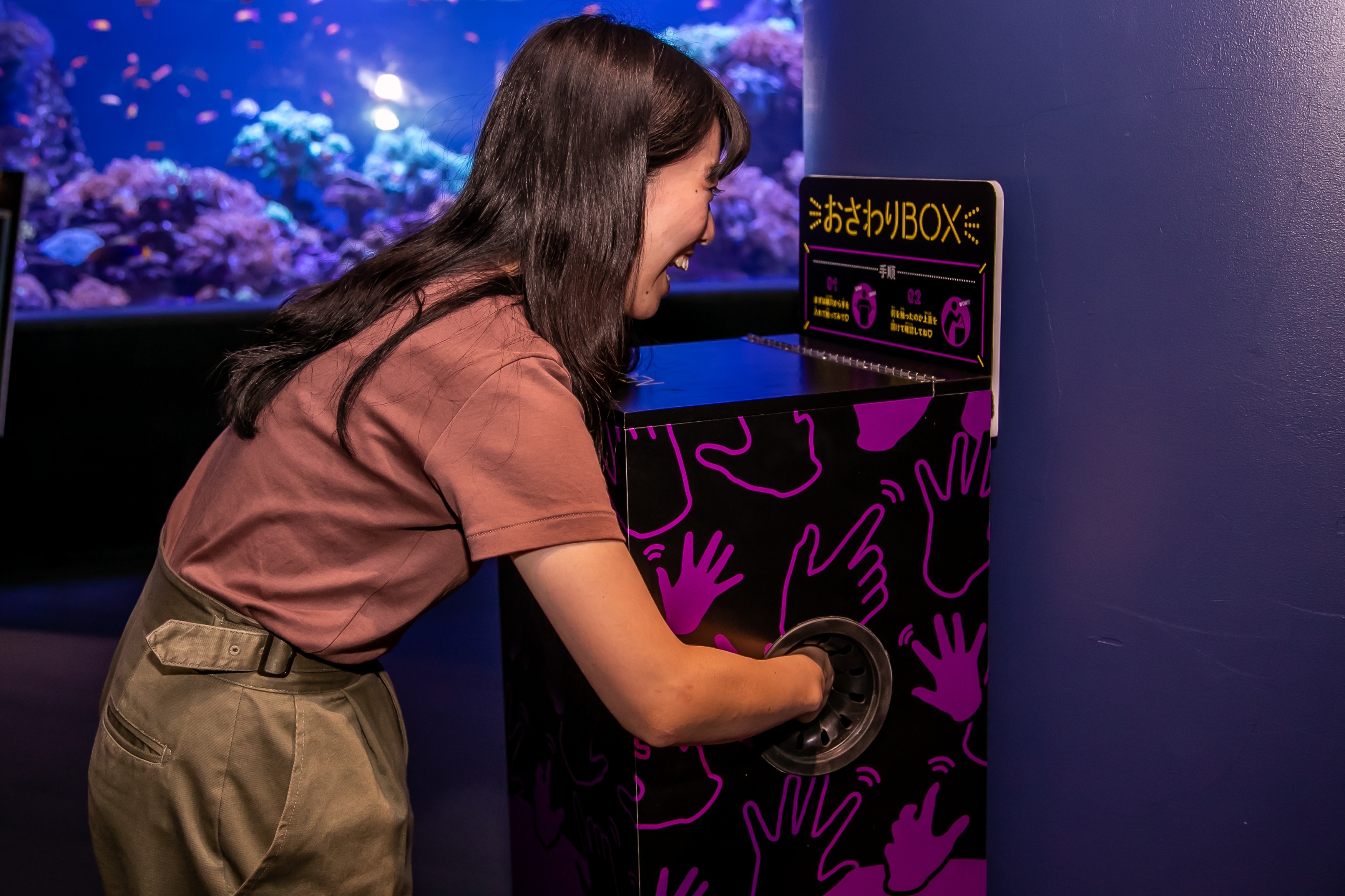 Sunshine Aquariums Lots of Sex Exhibit