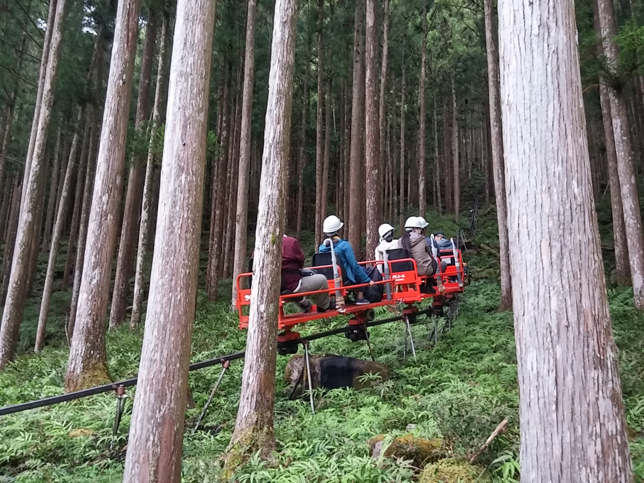 Japan Travel Explore a hidden cave on a tiny monorail roller