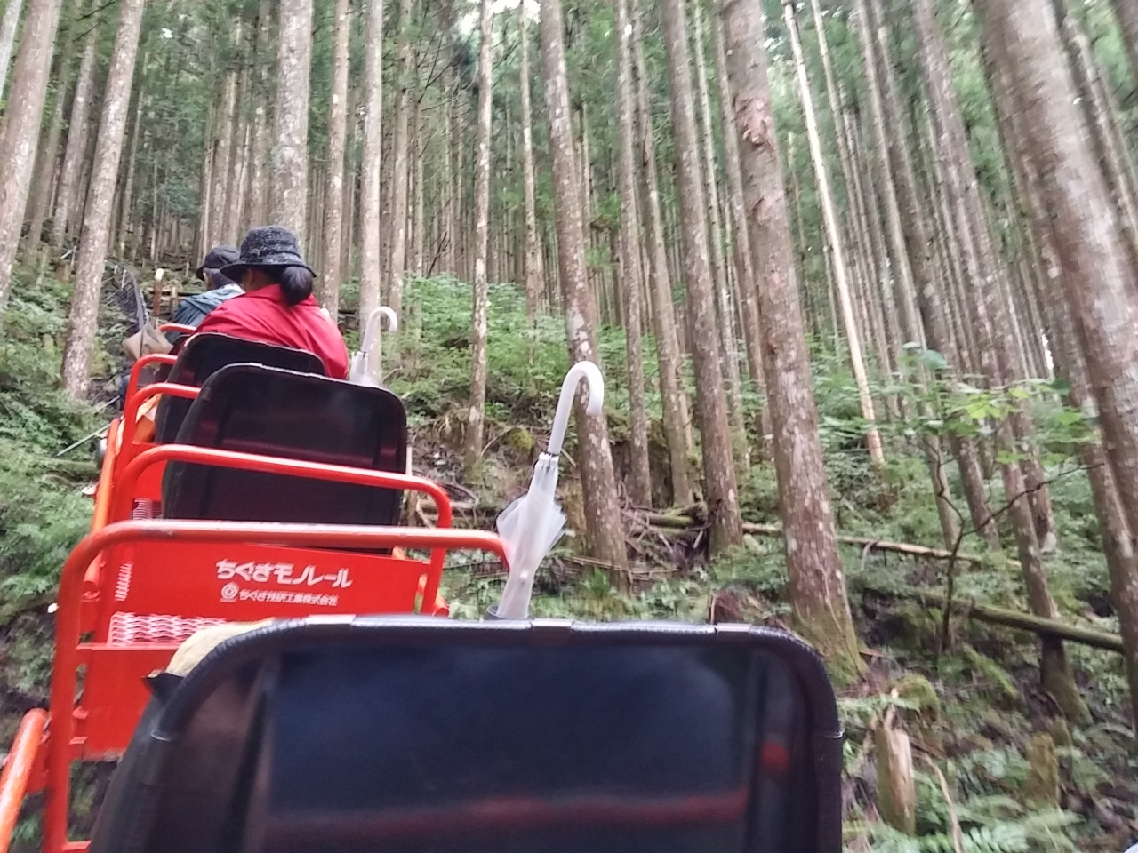 Japan Travel Explore a hidden cave on a tiny monorail roller