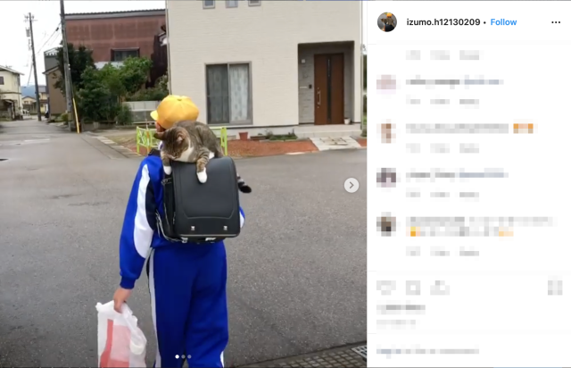 The cute cat that loves to ride to school on her hooman’s randoseru backpack every day 【Videos】