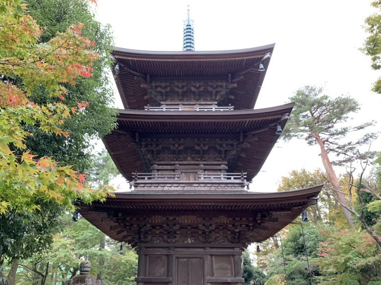 A visit to Tokyo’s luckiest, kitty-est lucky cat temple: Gotokuji ...