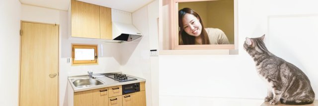 New cat-friendly homes in Japan come specially designed for felines