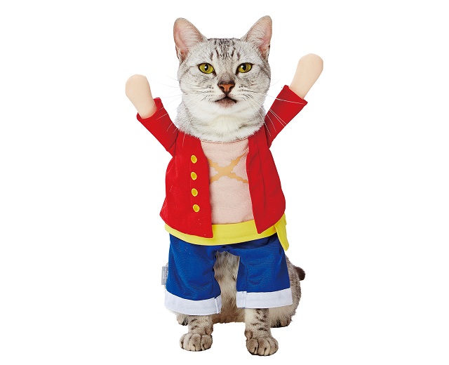 Crazy cat cosplay turns kitty into your favorite heroes (pictures) - CNET
