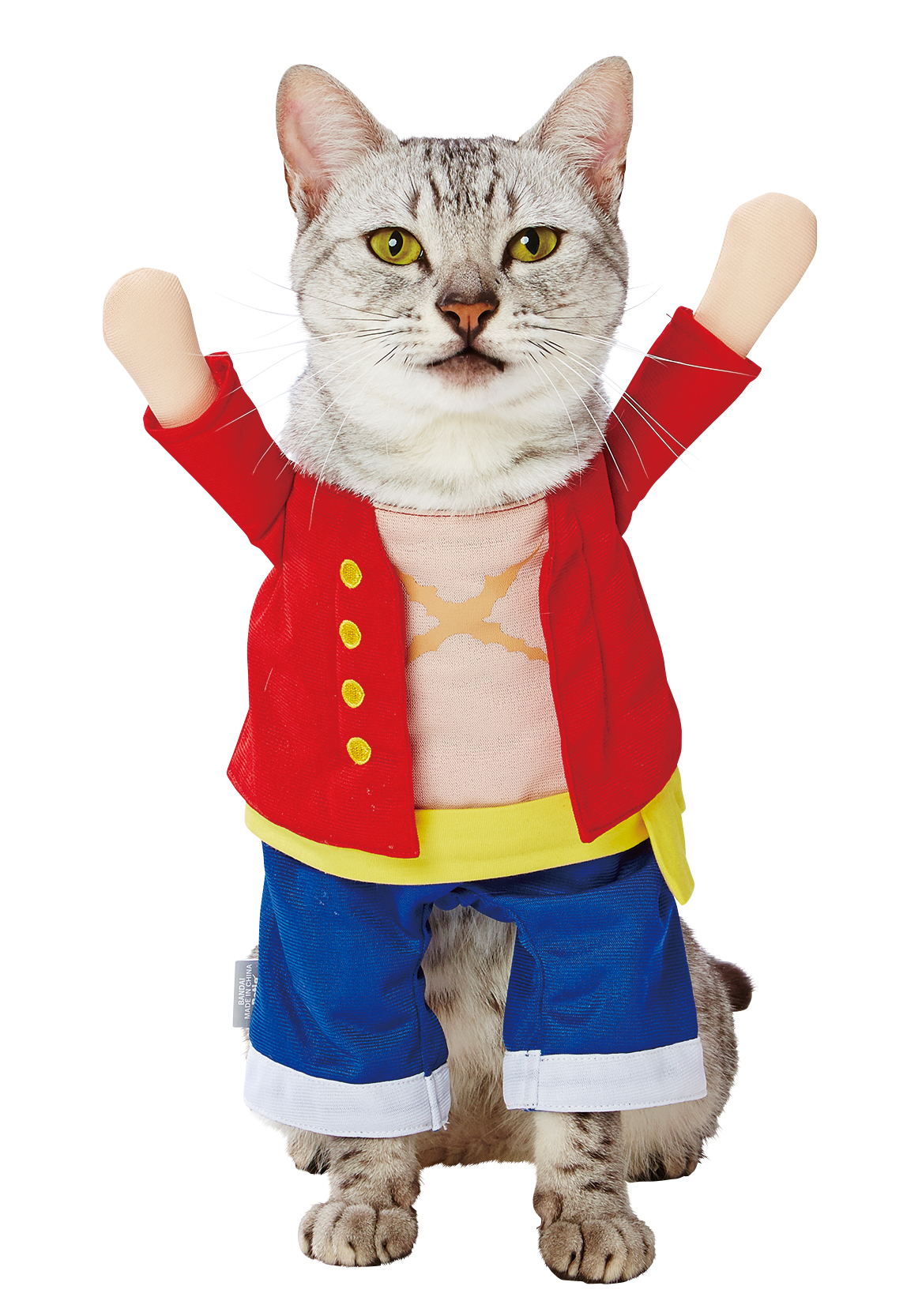 Coomour Cat Costume Funny Pet Clothes Cute Anime Small Dog Scout Soldiers  Apprarel Outfits Puppy Cosplay Cape Party Clothing S  Amazonin Pet  Supplies