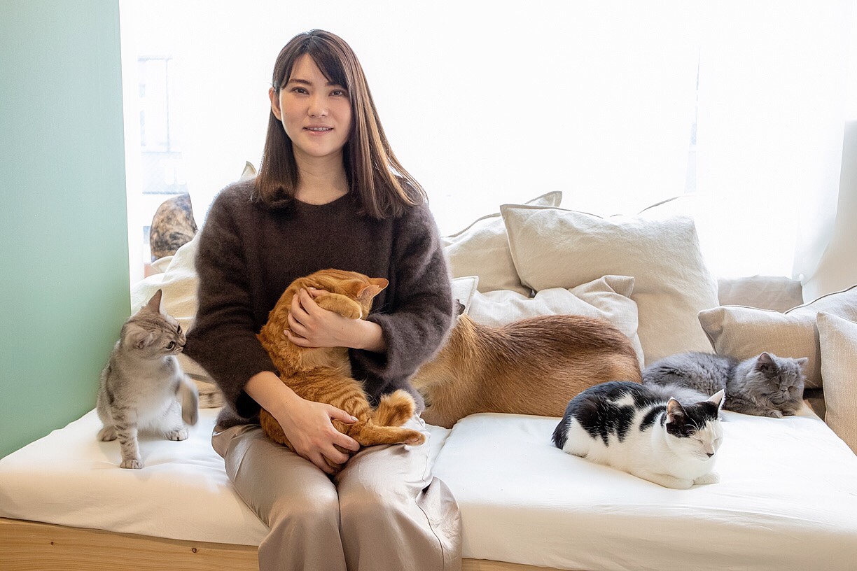 Japan’s firstever capybara cat cafe opens in Tokyo SoraNews24 Japan