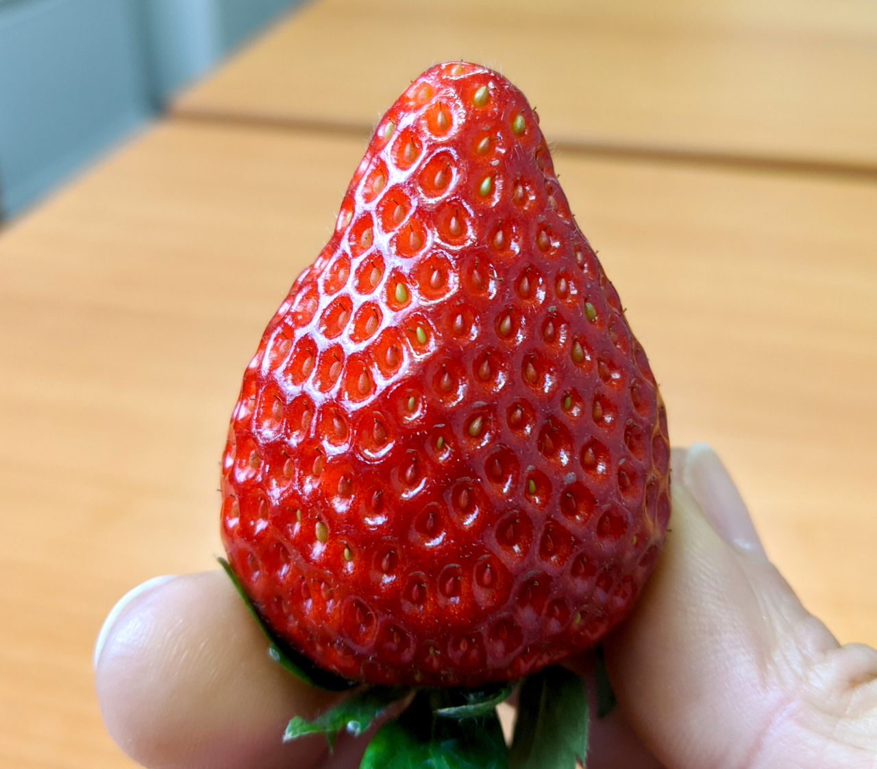 What it’s like to eat a super expensive Japanese strawberry【Taste Test】 SoraNews24 Japan News