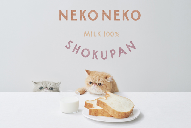 Japan’s cat bread bakery opening brand-new branch in Osaka Prefecture!