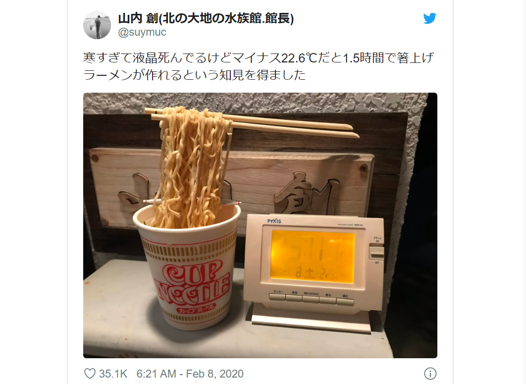 Food sample made by Japanese craftsmen Ramen noodles IP-163 308762 4549081087624 