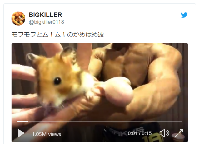 Hamster hadouken! Super-buff Japanese bodybuilder adds adorable animals to his flex videos【Vids】