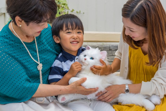 Young and elderly alike can satisfy their feline frenzy with this $180 cat robot companion