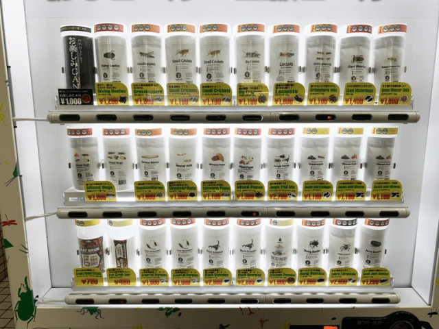 Taste-testing Tokyo’s biggest, best edible bug vending machine【Photos】