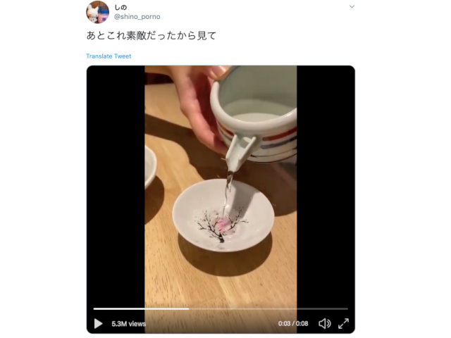 Sakura sake cup proves coronavirus can’t stop indoor hanami cherry blossom parties 【Video】