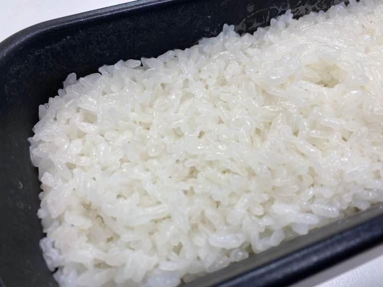 Japan has an awesome one-person bento box rice cooker, and here’s what ...