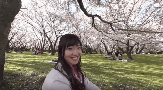 VR cherry blossom parties: 360-degree video series provides beauty, dates for those stuck indoors