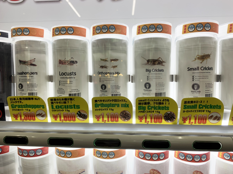 Insects Vending Machine Our reporter eats more bugs from a Tokyo vending machine, compares ...