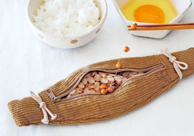 Almost certainly the best fermented Japanese soybean pencil case ever made is here