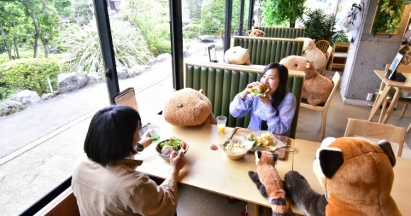 Social Distanced Dining Is A Cinch With These Stuffed Capybara Companions Photos Soranews24 Japan News