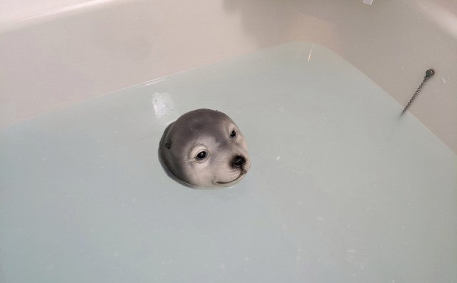 Never feel lonely in the tub again! We try Japan’s Bobbing Seal floating bath toy【Photos】