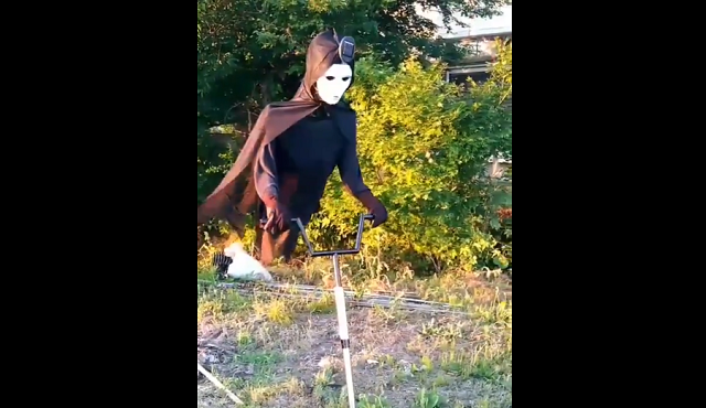 Flying scarecrow in Japanese countryside scares people across