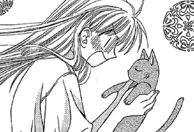 Kinokuniya USA  Fruits basket illustrations at your fingertips These  3 books contain all the illustrations of the Fruits Basket anime released  in 2019 Never before seen illustrations and comments are waiting