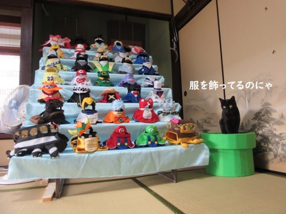 KAMADO TANJIROU PET CAT COSPLAY COSTUME KIMETSU NO YAIBA ANIME DEMON  SLAYER SMALL SIZE Pet Supplies Homes  Other Pet Accessories on  Carousell