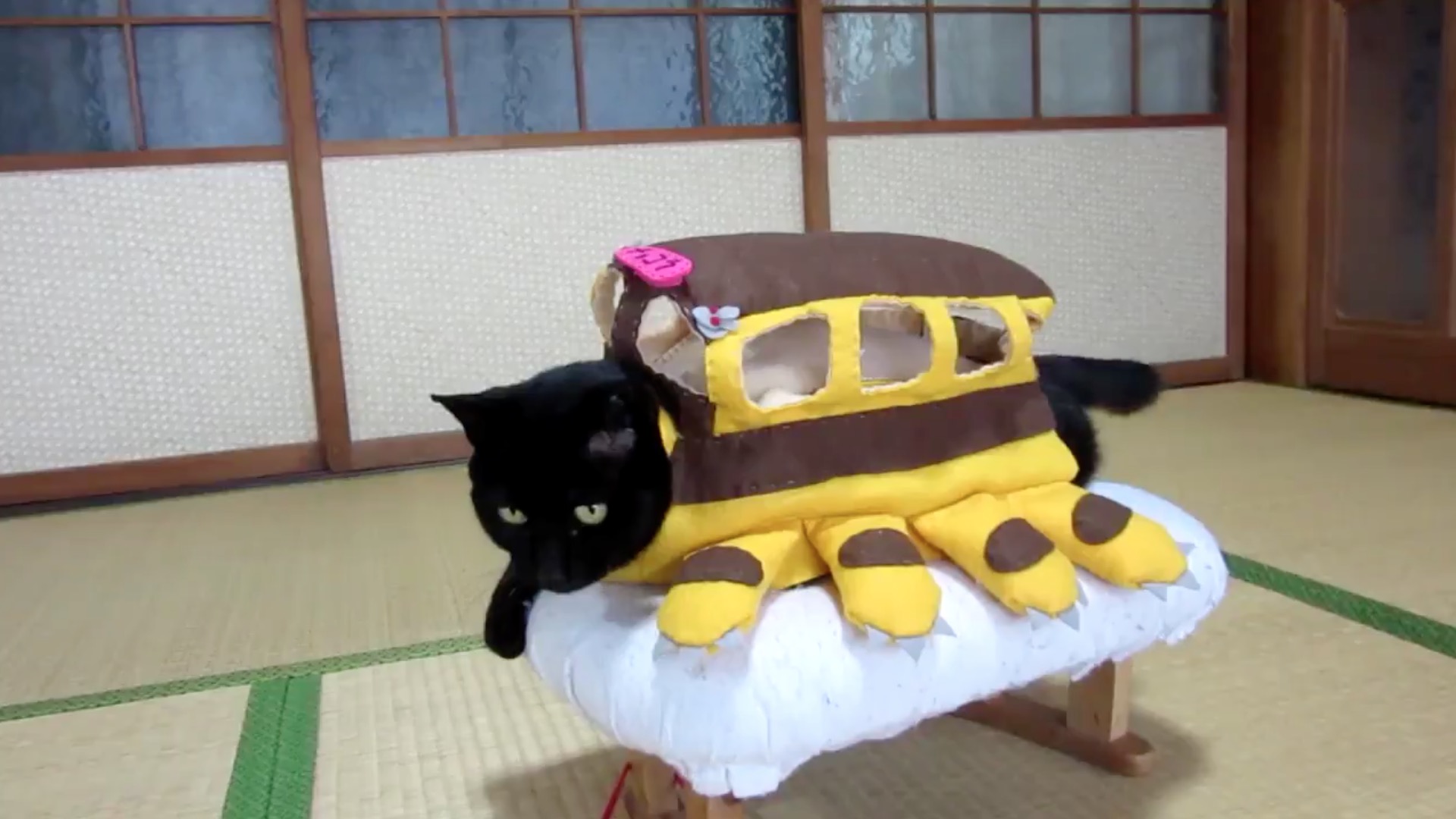 Japanese anime cat  Etsy