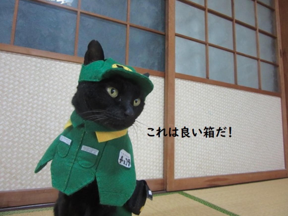 Anime Date A Live Tokisaki Kurumi Cat Suit Cosplay Costume Sexy Halloween  Dres & | eBay