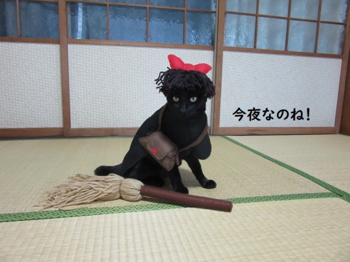 Cats Cosplay as Popular Japanese Anime Characters  AniME