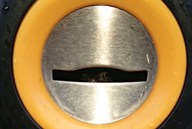Mysterious eyes found in Japanese vending machine coin slot