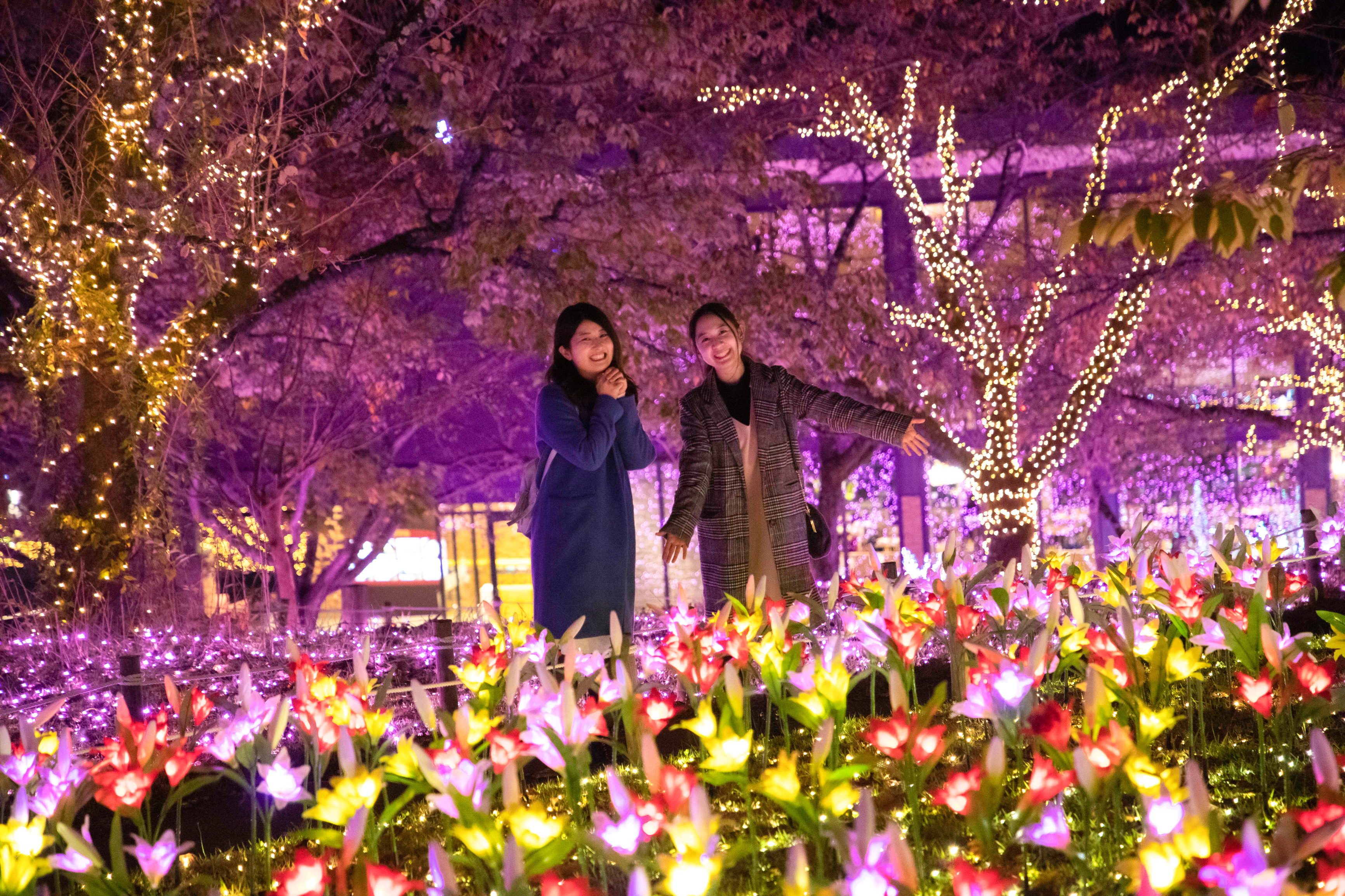Sagamiko Pleasure Forest's Christmas light event to have special
