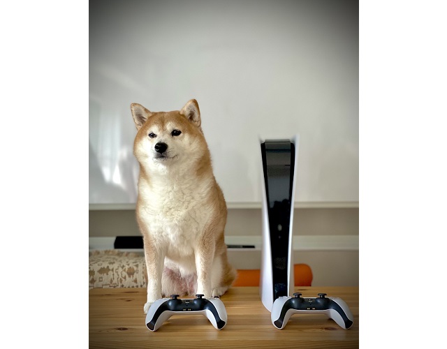 How big is the PlayStation 5? About as big as a Shibu Inu dog, photos show【Photos】