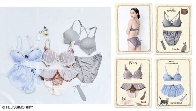 New cat lingerie sets from Japan are here to give you a purr-fect