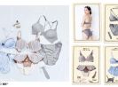 Triumph sums up Japanese women, trends and achievements in Heisei bra and  skirt lingerie set