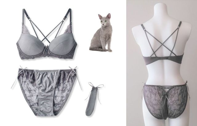 Sexy Cat Underwear Bra, Cat Bra Underwear Set