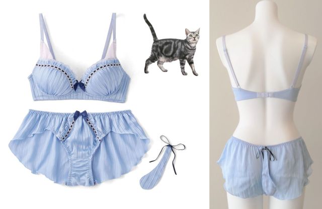 https://soranews24.com/wp-content/uploads/sites/3/2020/12/Japanese-cat-lingerie-photos-5.jpg?w=640