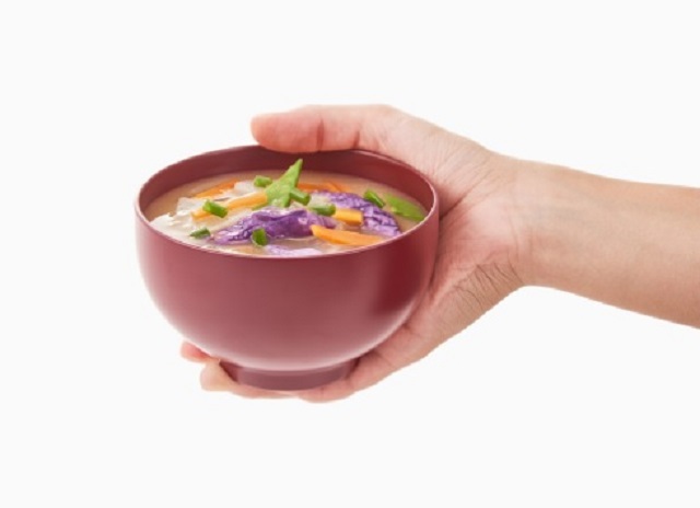 Thermos Soup Bowl