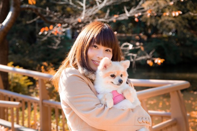 “Peaceful life with many dogs” is unacceptable dream, Japanese high school teacher tells student
