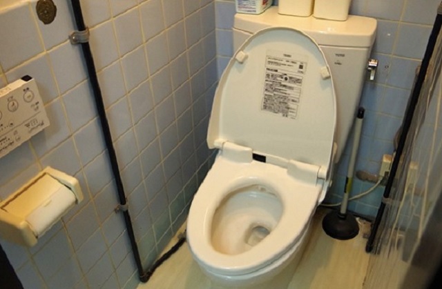 Serial toilet thief captured by police in Japan