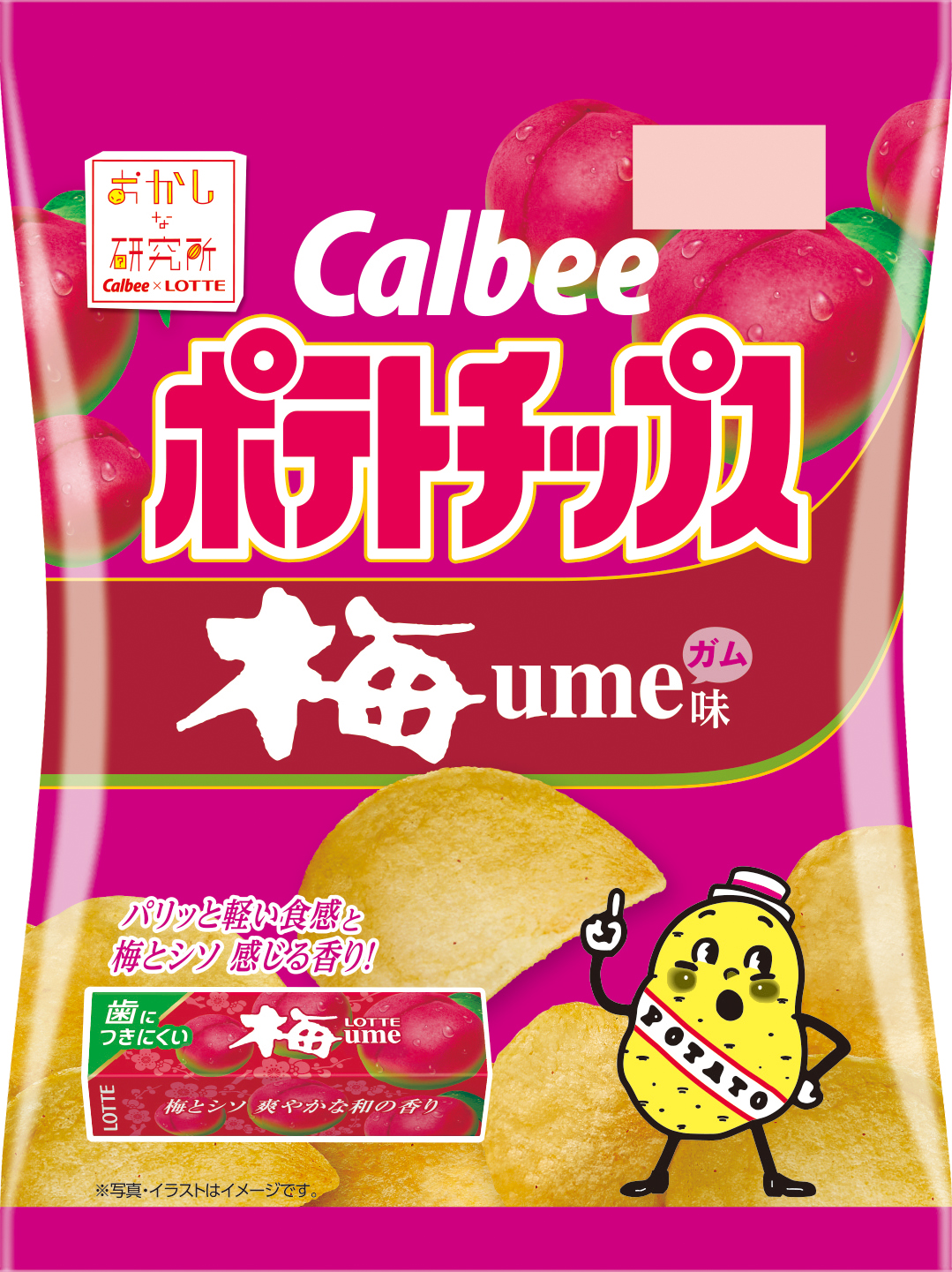 Japan unveils chewing gumflavoured chips! SoraNews24 Japan News