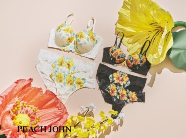 Mt Fuji and Raijin and Fujin lingerie sets let you wear your love for Japan  under your clothes